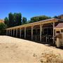 California Tactical Academy