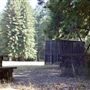 Jackson Demonstration State Forest Camp 20 Recreation Area