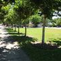 Ukiah Civic Center