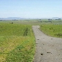 Cougar Mountain Drive