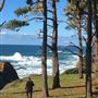 Smidgemore Property - Private Beach Cove & Bluffs with Vacant Cottages