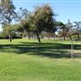 Arcadia Community Park