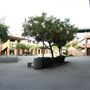 Burbank High School - BUSD