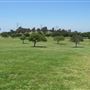 Kenneth Hahn State Recreational Area (SRA) administered by Los Angeles County