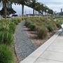 Port of Los Angeles - POLA / West Harbor / AltaSea Research Campus / Wilmington Waterfront Promenade
