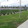 Port of Los Angeles - POLA / West Harbor / AltaSea Research Campus / Wilmington Waterfront Promenade