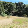 Placerita Canyon State Park (SP) / Placerita Canyon Natural Area / Placerita Nature Center