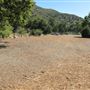 Placerita Canyon State Park (SP) / Placerita Canyon Natural Area / Placerita Nature Center