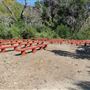 Placerita Canyon State Park (SP) / Placerita Canyon Natural Area / Placerita Nature Center