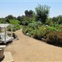 South Coast Botanic Garden