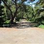 South Coast Botanic Garden