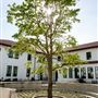 Saint Mary's College of California