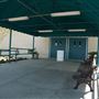 Kern County Fair - 15th DAA