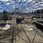 Cynthia Vazquez Industrial Yard