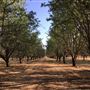 Isquierdo Ranch