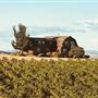 Rancho Deeluxe - Paso Robles - San Luis Obispo County