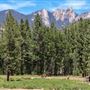 Peppermint Falls Ranch - Little Yosemite Valley - Peppermint Falls Ranch Waterfall
