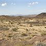 Bagdad Chase - Ludlow California