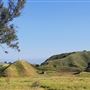 Bracaccini Ranch Property - 50 acres open field / Ranch House / Barns