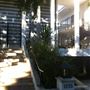 Harper Regency West Hollywood