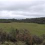 Back roads/Overlook on 36
