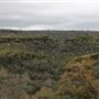 Back roads/Overlook on 36
