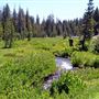Lassen Volcanic National Park