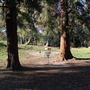 Samuel Ayer Park