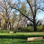 Samuel Ayer Park