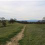 Bobcat Trail