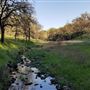 Payne's Creek Wetlands