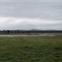 Payne's Creek Wetlands