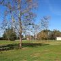 Ridgeway Park