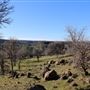 Meadowbrook Ranch