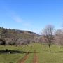 Meadowbrook Ranch