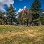 Redding Memorial Cemetery