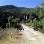 Dog Creek Bridge - Highway 5