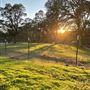 Field to Fork Farm