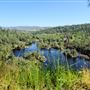 Black Swan Trail