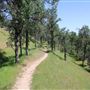 Black Swan Trail