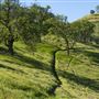Carnegie State Vehicular Recreation Area (SVRA)