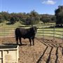 Garbani Ranch