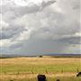Various Rural Farms And Ranches