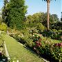 Frederick N. Evans Rose Garden