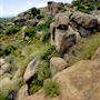 Santa Susana Pass State Historic Park (SHP) and former Spahn Movie Ranch