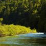 Smithe Redwoods State Natural Reserve (SNR)