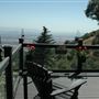 Holly Hill Chalet
