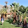 The Oasis at Death Valley National Park