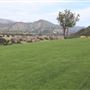 Rancho San Fernando Rey
