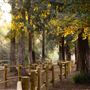 Carbon Canyon Regional Park